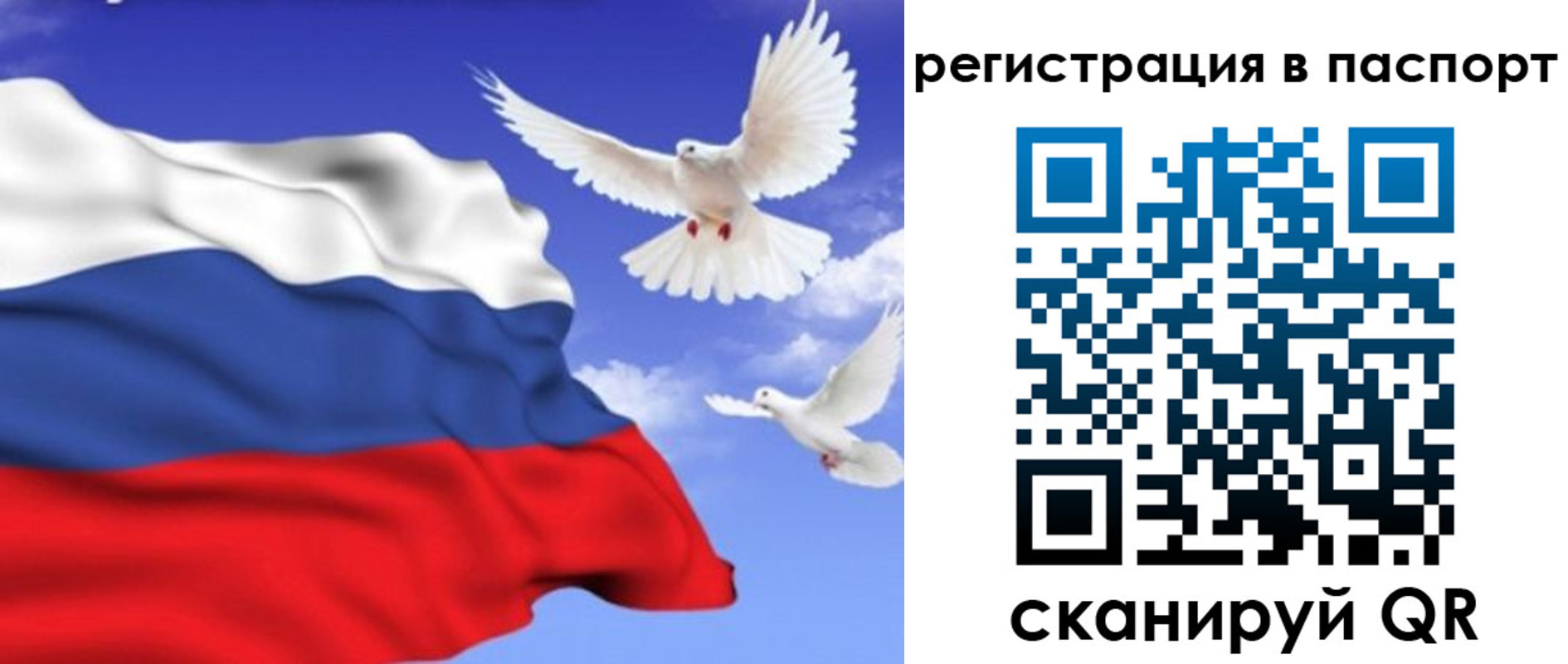 купить прописку в Новотроицке